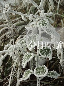 分期乐逾期费用是034 分期乐逾期费用是034