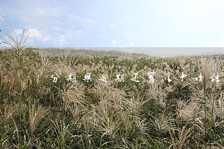分期乐逾期还可以申请信用卡吗 分期乐逾期还可以申请信用卡吗