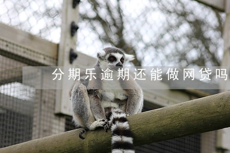 分期乐逾期还能做网贷吗 分期乐逾期还能做网贷吗