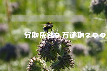分期乐钱2万逾期200天 分期乐钱2万逾期200天