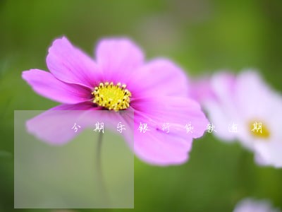 分期乐银行贷款逾期