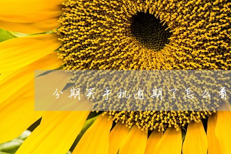 分期买手机逾期了怎么看信用 分期买手机逾期了怎么看信用