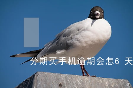 分期买手机逾期会怎6天 分期买手机逾期会怎6天