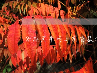 分期买车网上有贷款没逾期的 分期买车网上有贷款没逾期的
