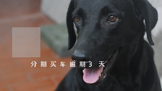分期买车逾期3天 分期买车逾期3天