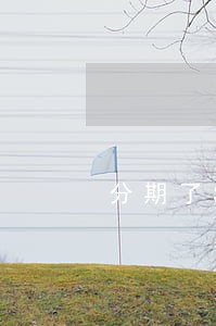 分期了3个手机逾期了能分期车吗 分期了3个手机逾期了能分期车吗