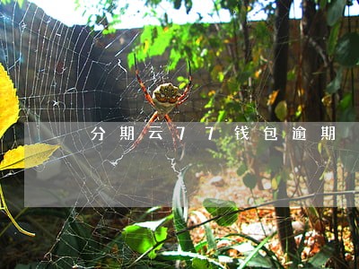分期云77钱包逾期 分期云77钱包逾期