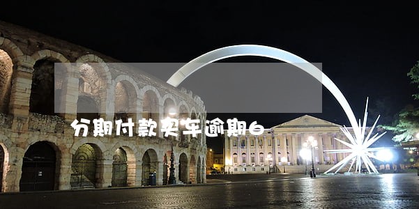 分期付款买车逾期6