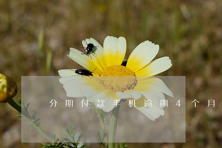 分期付款手机逾期4个月 分期付款手机逾期4个月