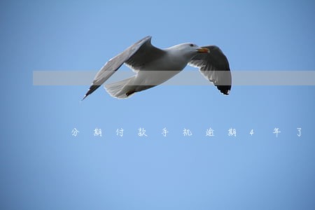 分期付款手机逾期4年了怎么办 分期付款手机逾期4年了怎么办