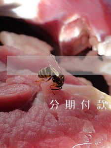 分期付款的逾期25天 分期付款的逾期25天