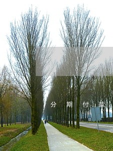 分期付款逾期220 分期付款逾期220