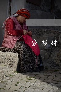 分期付款逾期3天 分期付款逾期3天