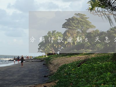 分期付款逾期5天怎么办 分期付款逾期5天怎么办