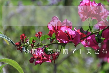 分期付款逾期了1天会有什么影响 分期付款逾期了1天会有什么影响
