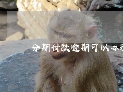 分期付款逾期可以办理信用卡吗 分期付款逾期可以办理信用卡吗