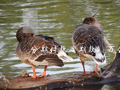 分期付款逾期款1万会坐牢 分期付款逾期款1万会坐牢
