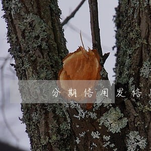 分期信用发信息说有欠款逾期 分期信用发信息说有欠款逾期