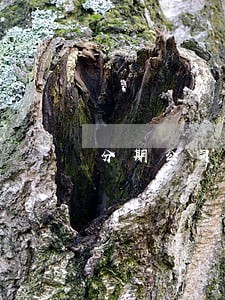 分期公司贷款逾期 分期公司贷款逾期