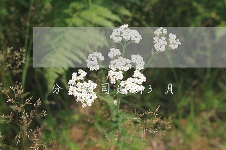 分期公司逾期3月