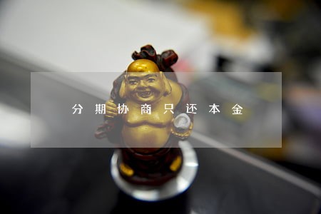 分期协商只还本金 分期协商只还本金
