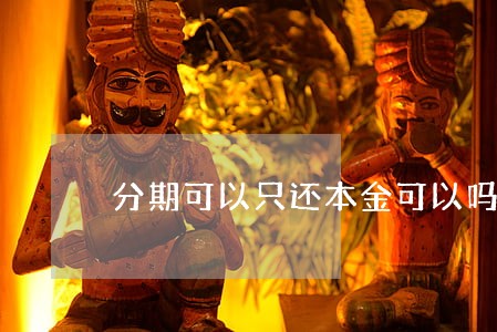 分期可以只还本金可以吗 分期可以只还本金可以吗