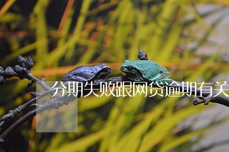 分期失败跟网贷逾期有关系吗