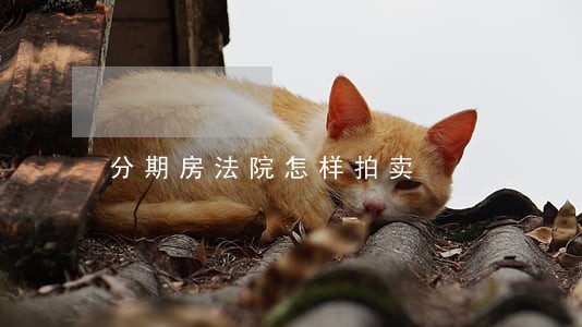 分期房法院怎样拍卖 分期房法院怎样拍卖