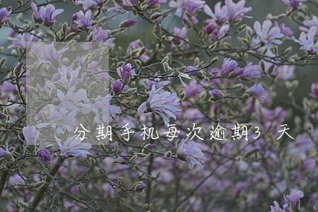 分期手机每次逾期3天 分期手机每次逾期3天