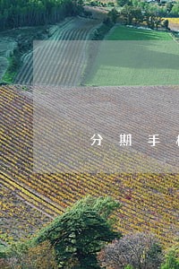 分期手机还差2000逾期了 分期手机还差2000逾期了