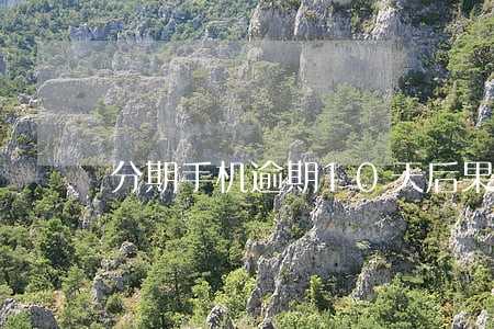 分期手机逾期10天后果 分期手机逾期10天后果