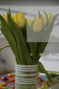 分期手机逾期2年怎么办 分期手机逾期2年怎么办