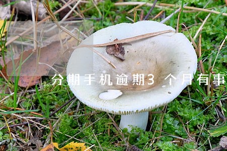 分期手机逾期3个月有事吗