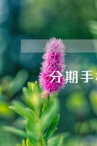 分期手机逾期3年