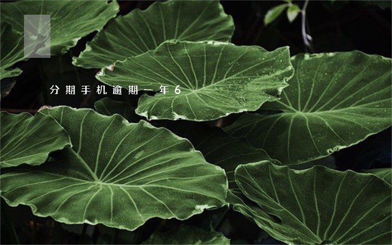 分期手机逾期一年6 分期手机逾期一年6