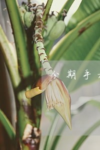 分期手机逾期了11天罚金得多少 分期手机逾期了11天罚金得多少