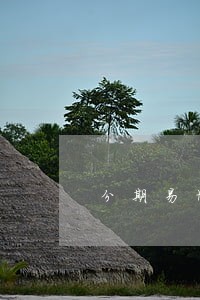 分期易协商怎么只还本金 分期易协商怎么只还本金