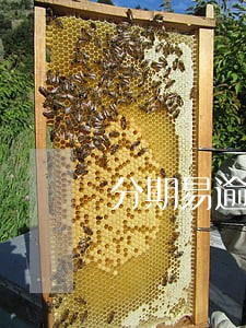 分期易逾期90天会怎样 分期易逾期90天会怎样