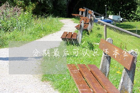 分期最后可以只还本金吗