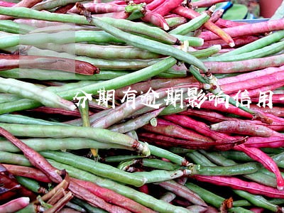 分期有逾期影响信用卡吗 分期有逾期影响信用卡吗