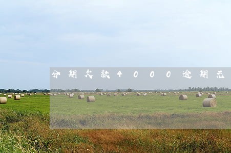分期欠款4000逾期无力偿还 分期欠款4000逾期无力偿还