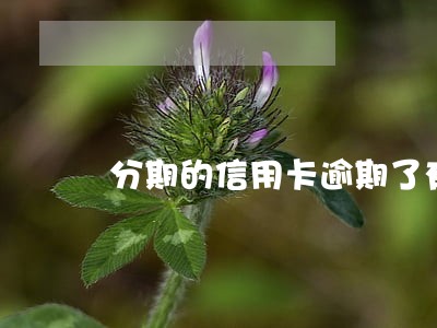 分期的信用卡逾期了有利息吗