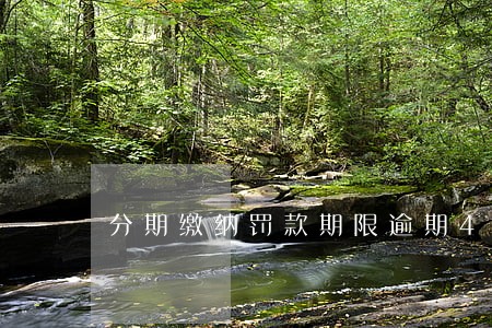分期缴纳罚款期限逾期4天 分期缴纳罚款期限逾期4天