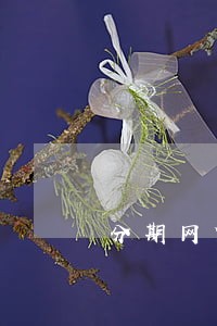 分期网贷逾期会一直催收吗 分期网贷逾期会一直催收吗