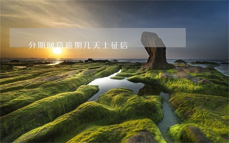 分期网贷逾期几天上征信