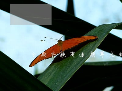 分期贷款有逾期算老赖吗 分期贷款有逾期算老赖吗