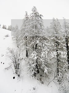 分期贷款逾期严重 分期贷款逾期严重
