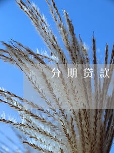 分期贷款逾期从哪天算 分期贷款逾期从哪天算