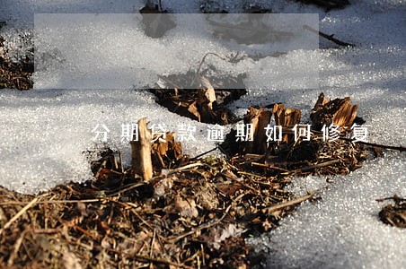 分期贷款逾期如何修复 分期贷款逾期如何修复