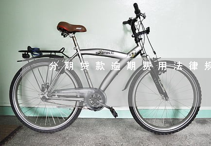 分期贷款逾期费用法律规定 分期贷款逾期费用法律规定